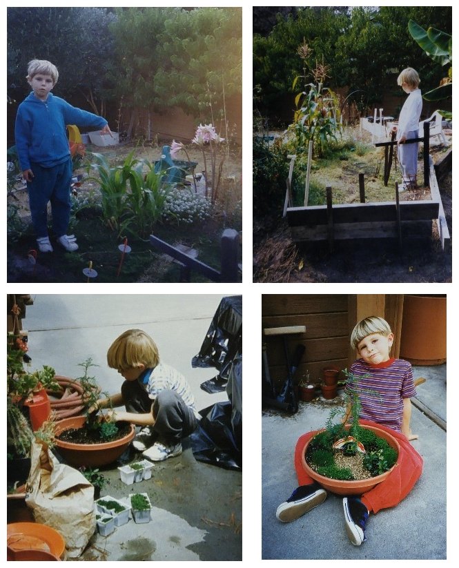 Roger’s first gardens.